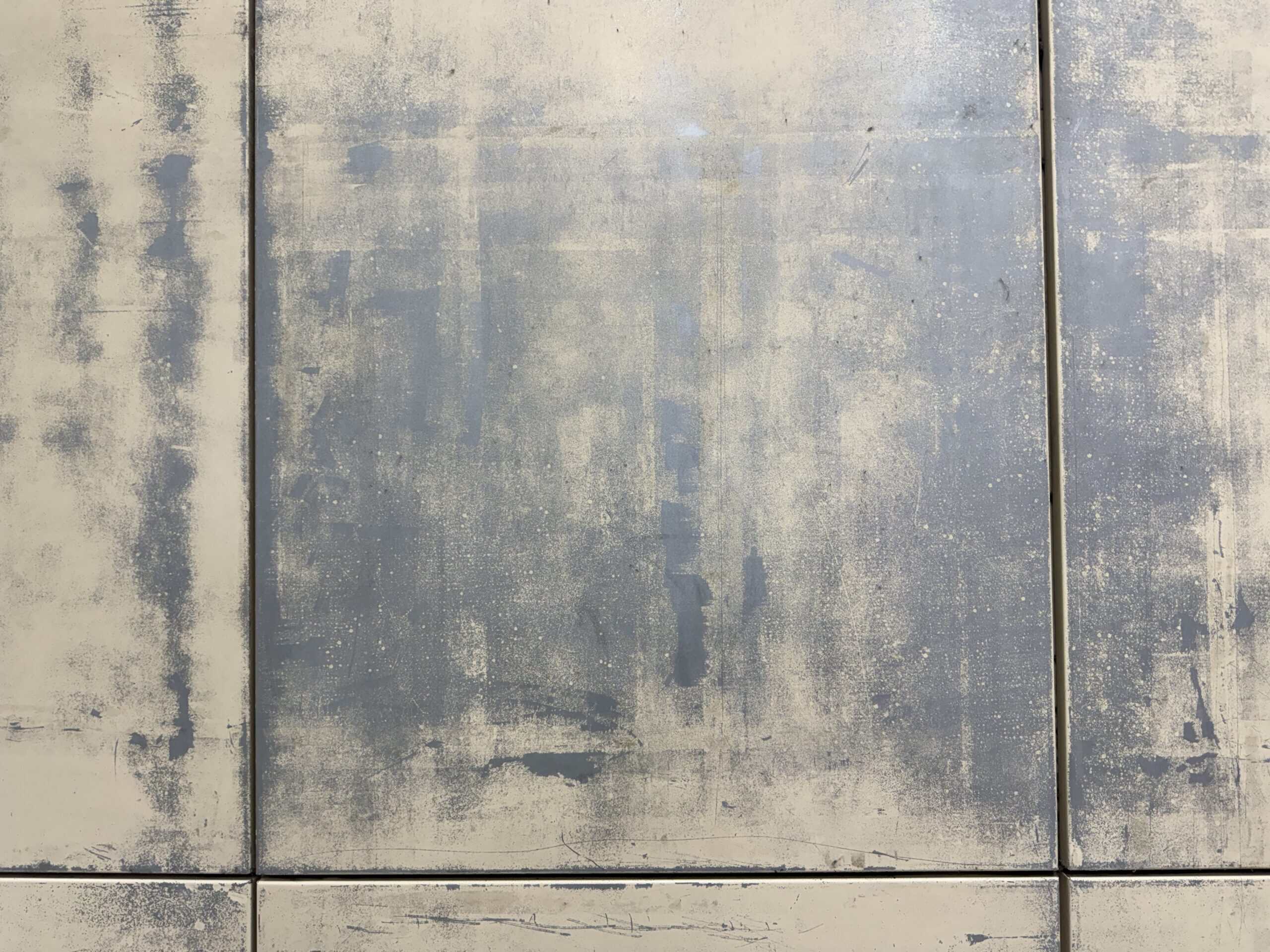 Severely degraded architectural metal panel face showing complete paint binder breakdown, mottling, and surface haze